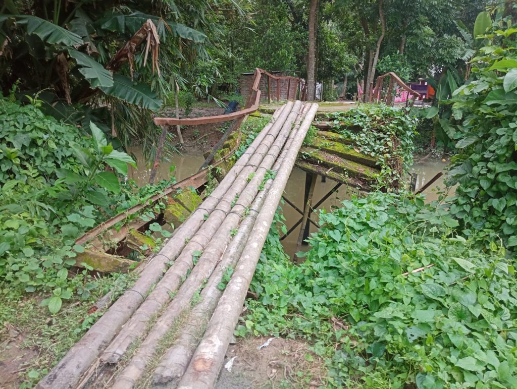 ছবি আজকের পেপার